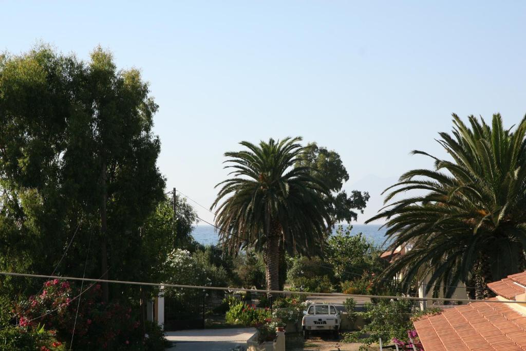 Feeloxenia Corfu Apartments Acharavi  Exteriör bild